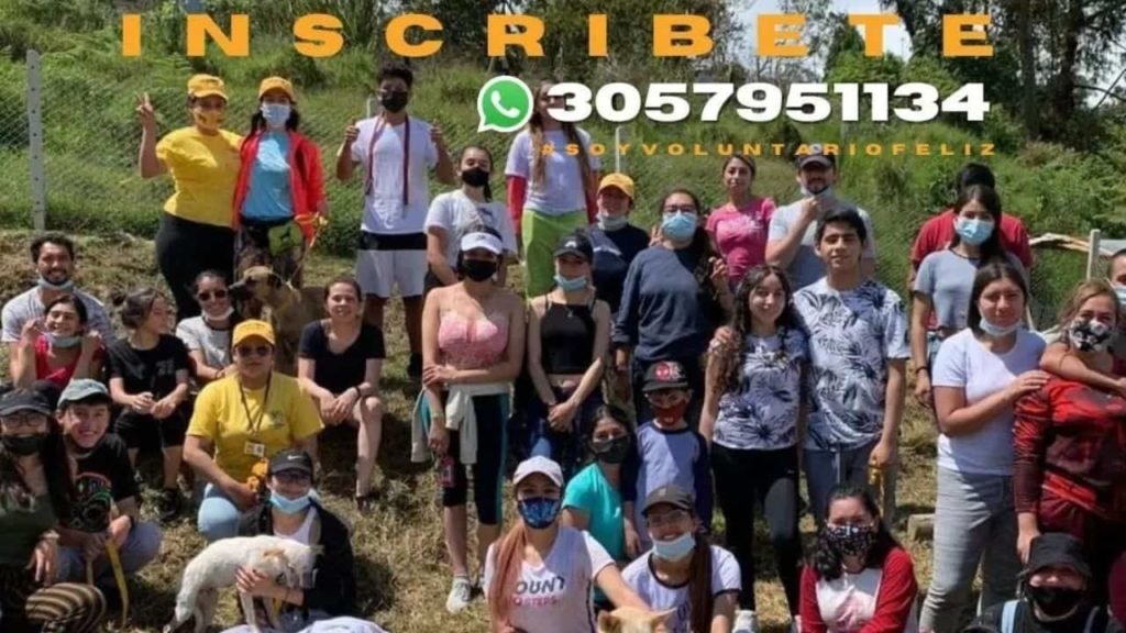 evento baño perritos colitas felices