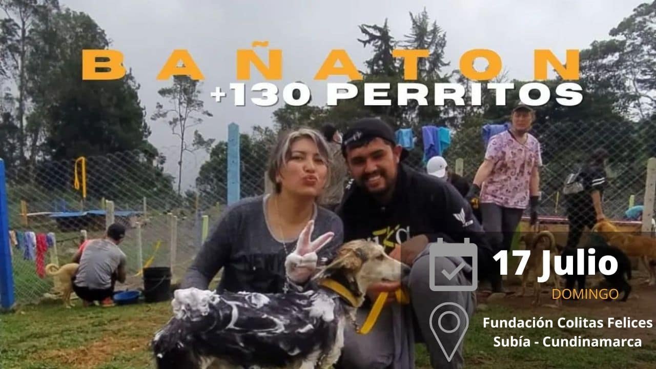 destacada evento baño perritos 17-7-22