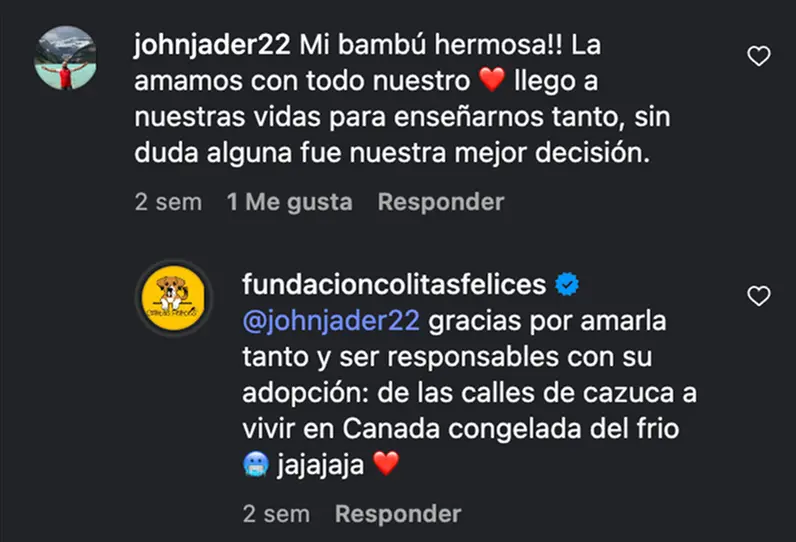 testimonio fundacion insta 02