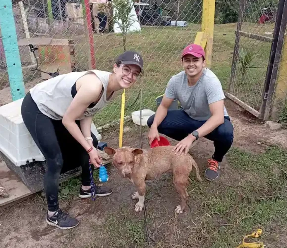 jornada de baño fundacion colitas felices 02 05