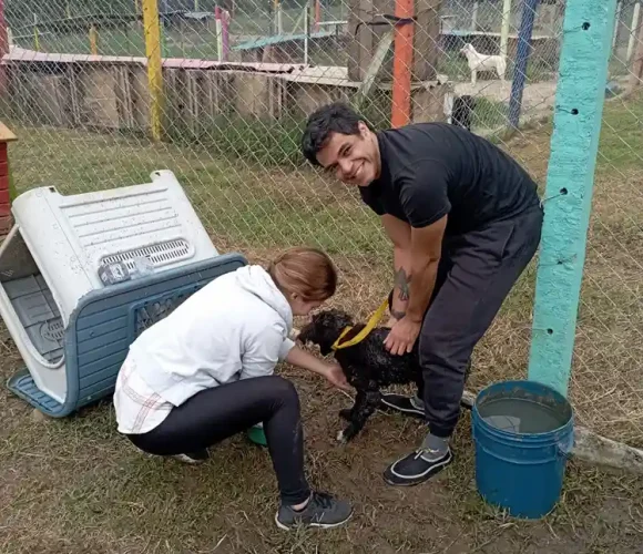 jornada de baño fundacion colitas felices 03 04