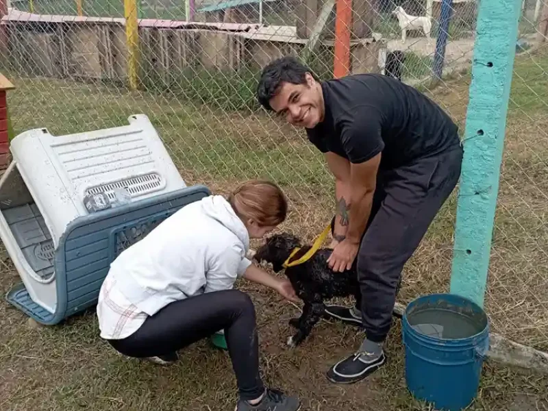 jornada de baño fundacion colitas felices 03 04