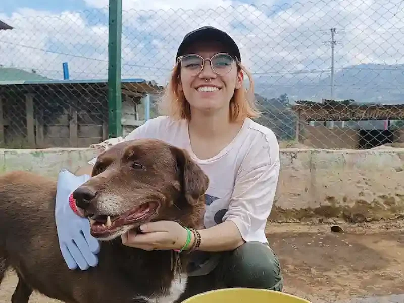 jornada de baño fundacion colitas felices 04 03