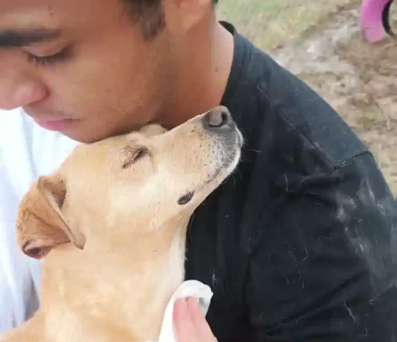 jornada de baño fundacion colitas felices 06 01